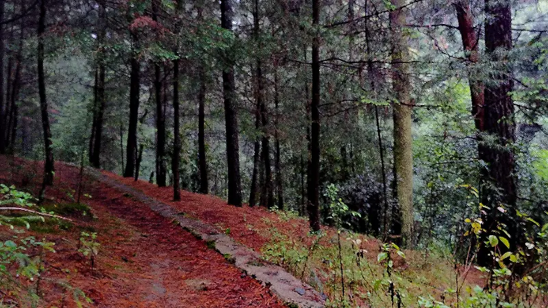 Parque Ejidal San Nicolás Totolapan-06